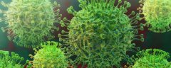 什么是新型冠状病毒 新型冠状病毒发病期