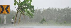 暴雨自救指南 雨水天气多人们要学会自我保护