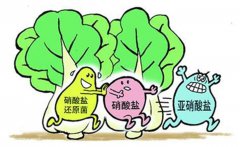 亚硝酸盐致癌?看清前提“过量”!